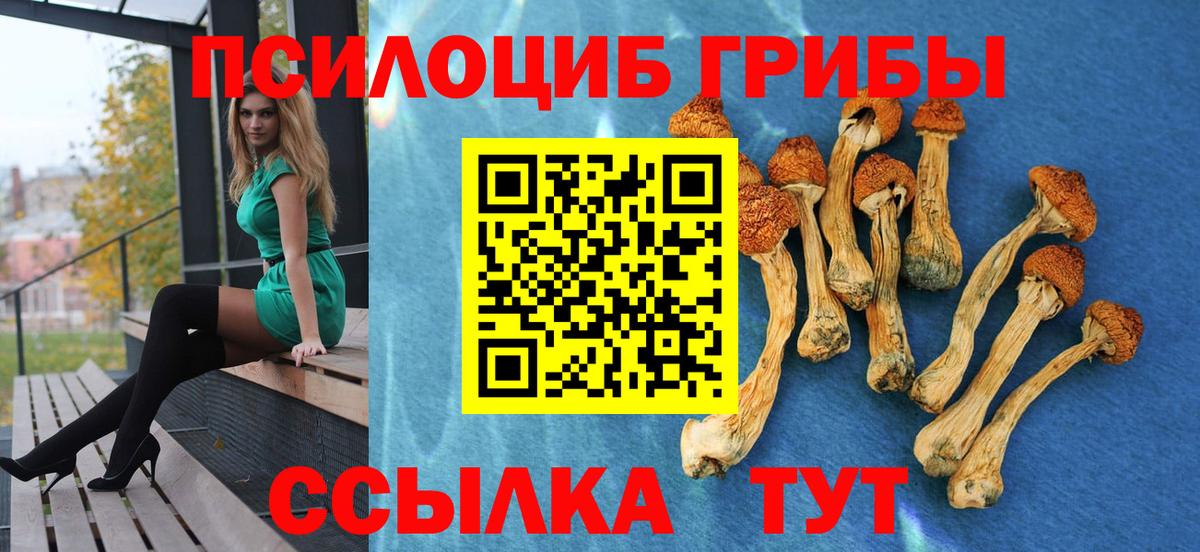 Псилоцибиновые грибы мухоморы  Галлюциногенные грибы мицелий  Ногинск  Вход с VPN 